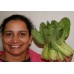 SPRAY FREE PAK CHOY  Per Bunch Katikati Grown